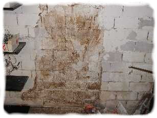 Durchn&auml;sste kellerw&auml;nde als Folge von &Uuml;berschwemmungen