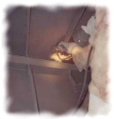 Die Beschichtung im Tank des im Wasser befindlichen Hochsee-Feuerl&ouml;schboots