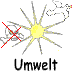 Umweilbelastung